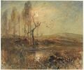 Paysage de marais dans la brume, image 1/2