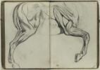 Figure de cheval, jambe arrière de profil, image 2/2