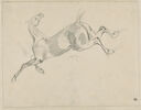 Cheval au galop vers la gauche, image 1/2