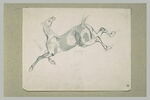 Cheval au galop vers la gauche, image 2/2