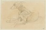 Chien couché, tourné vers la gauche, image 1/2