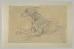 Chien couché, tourné vers la gauche, image 2/2