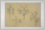 Quatre études de branches de lys, image 2/2
