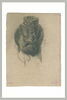 Tête de femme, vue de dos, chevelure nattée, image 2/2