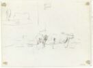 Etudes de vaches, image 1/2