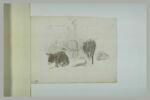 Etude de deux vaches, image 1/2