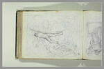 Figure ailée dans les airs, image 2/2