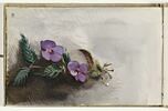 Fleurs, image 1/2