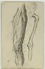 Etude d'ossature, et étude myologique d'une jambe gauche, image 1/2