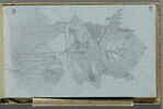 Arbres, image 1/2