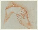 Deux mains tenant un morceau de bois, image 1/2