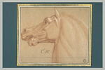 Tête de cheval, vue de profil, tournée à gauche, image 3/3