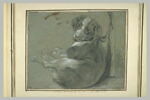 Portrait du chien appelé Chimène, fait par son maître en 1775, image 2/2