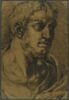 Homme barbu vu en buste, de trois quarts vers la droite, image 1/2