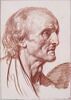 Tête d'homme chauve, image 3/3