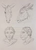 Deux têtes d'âne et deux têtes d'homme en relation avec l'âne, image 1/2