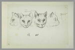 Cinq études de têtes de chats et deux études d'oeil, image 2/3
