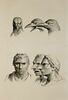 Trois têtes de corbeaux et trois têtes d'homme en relation avec le corbeau., image 1/2