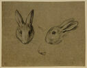 Deux têtes de lapin, l'une de face et l'autre de profil, image 1/2