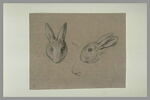 Deux têtes de lapin, l'une de face et l'autre de profil, image 2/2