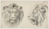 Deux têtes de lion, l'une de face et l'autre de profil, image 1/2