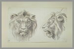 Deux têtes de lion, l'une de face et l'autre de profil, image 2/2