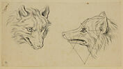 Deux têtes de loup, l'une de face et l'autre de profil, image 1/2