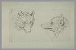 Deux têtes de loup, l'une de face et l'autre de profil, image 2/2