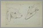 Deux têtes de chiens de races différentes, de profil, image 2/2