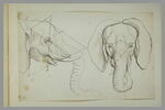 Deux têtes d'éléphant, l'une de profil et l'autre de face, image 2/2