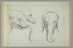 Trois têtes d'éléphant, image 2/2