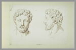 Deux têtes d'Antonin, image 2/2