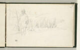 Lapon dans un paysage, image 1/2