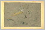 Etudes d'oiseaux aquatiques dont un pélican, image 2/2