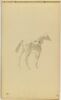 Cheval, image 1/2