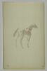Cheval, image 2/2