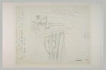 Vendangeur, et étude de buisson, image 2/2