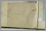 Corps de cheval, de profil, image 2/2