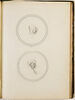 Deux caricatures, image 1/2