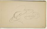 Rapide croquis de deux serpents enroulés, image 1/2