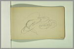 Rapide croquis de deux serpents enroulés, image 2/2