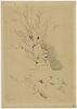Rochers et arbrisseaux, Basses-Pyrénées, image 1/2