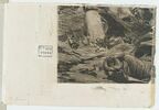 Fragment d'eau-forte avec des cadavres d'hommes et de chevaux, image 1/2