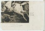 Fragment d'eau-forte, avec un cheval et un cadavre, image 1/2