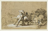 Course de chevaux, image 1/4