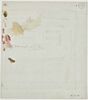 Paris, Arc de triomphe du carrefour Pas-de-la-mule - Beaumarchais, image 2/2