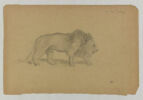 Lion marchant vers la droite, image 1/2