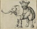 L'éléphant, image 1/3