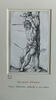 Saint Sébastien attaché à un arbre, image 1/2
