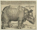 Le Rhinocéros, image 1/3